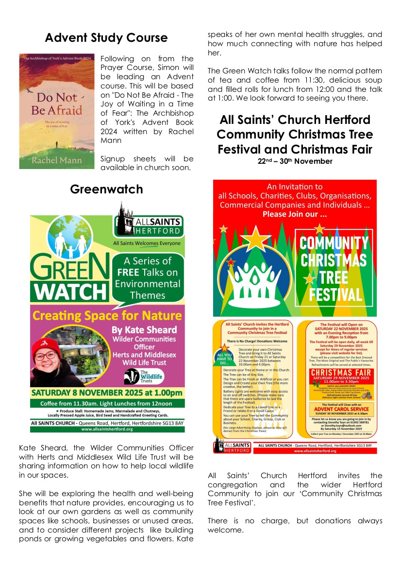 Edition for November 2025